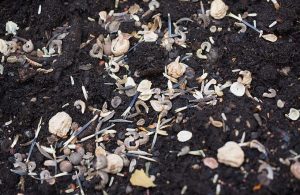 Fot. materiał prasowy reklamodawcy