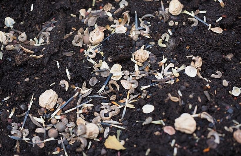 Fot. materiał prasowy reklamodawcy