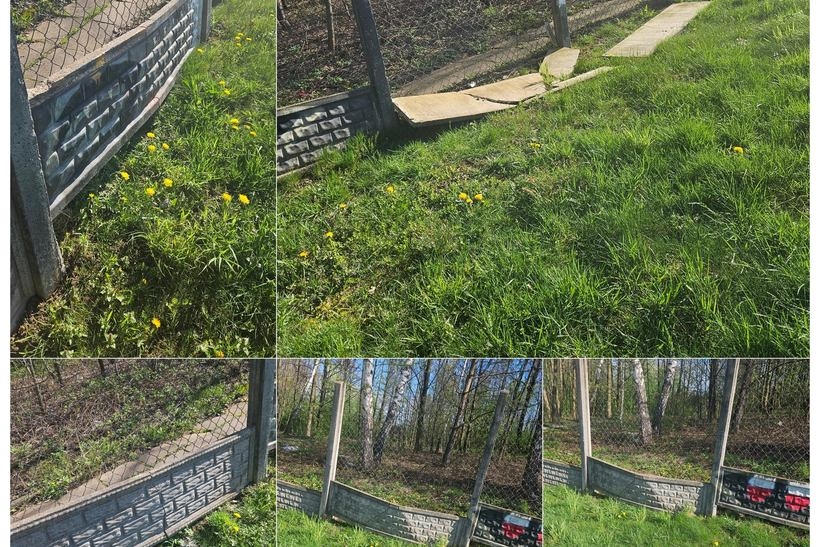 Fot. Facebook/ LSK Olimpia Chocznia