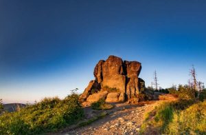 Fot. materiał prasowy partnera
