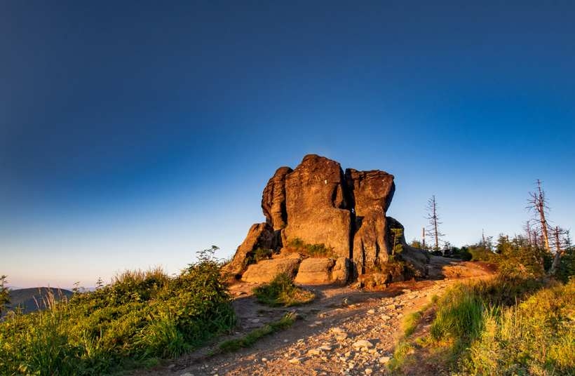 Fot. materiał prasowy partnera