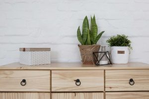 Fot. materiał prasowy reklamodawcy