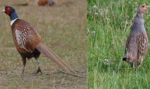 Fot. materiał prasowy reklamodawcy