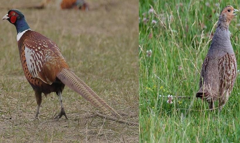 Fot. materiał prasowy reklamodawcy