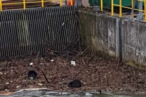 Fot. facebook/ OSP Łączany