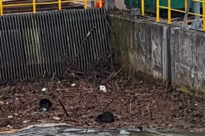 Fot. facebook/ OSP Łączany