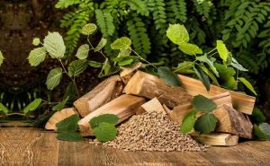 Fot. materiał prasowy reklamodawcy