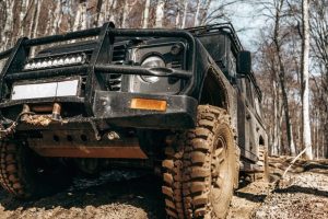 Fot. materiał prasowy reklamodawcy