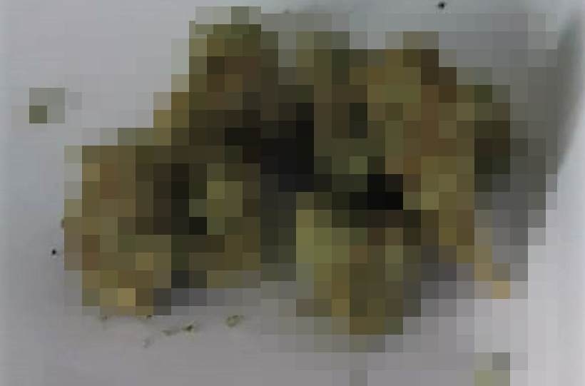 Fot. na podstawie zdjęcia KPP Wadowice