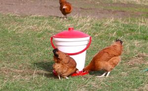 Fot. Materiał prasowy reklamodawcy