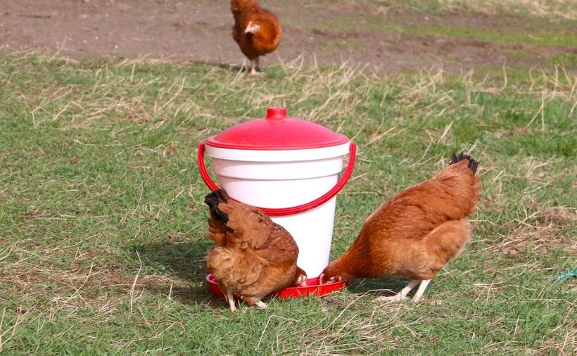 Fot. Materiał prasowy reklamodawcy