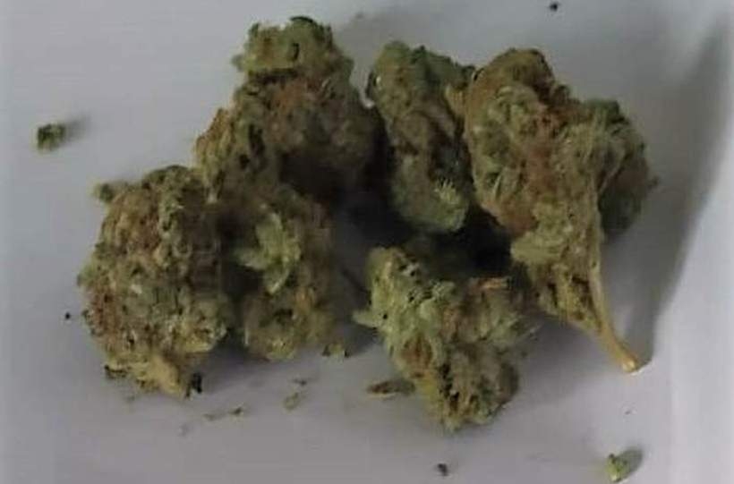 Fot. KPP Wadowice/Ilustracja