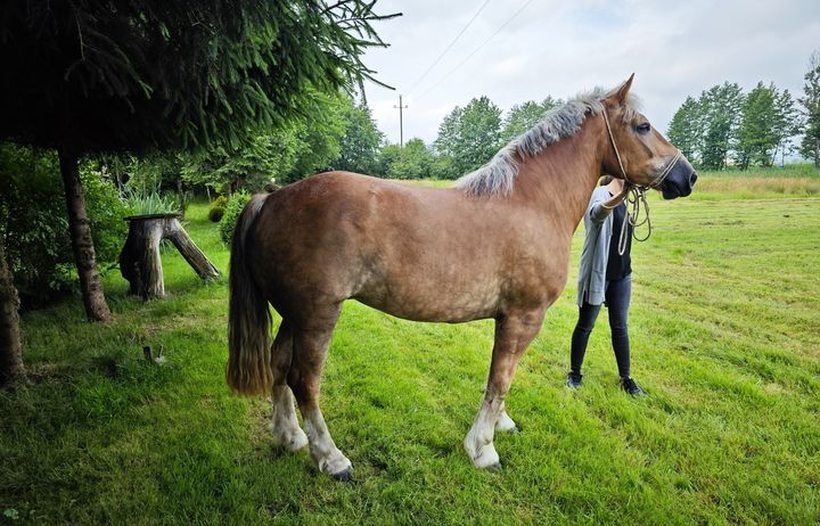 Fot. Facebook/ Wiold Grabowski Wójt Gminy Tomice