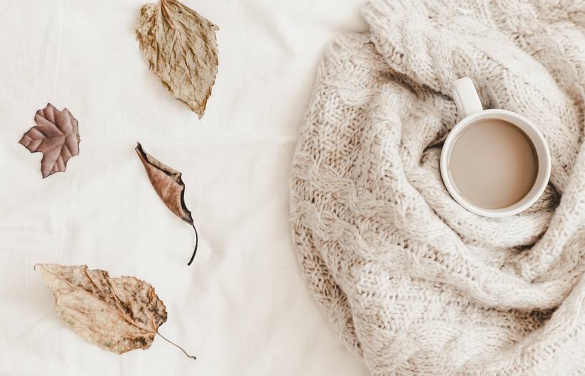 Fot. Materiał prasowy reklamodawcy