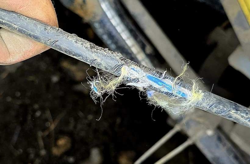 Fot. Facebook/ Wadowicenet