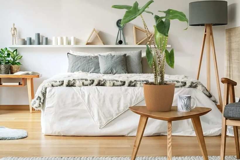 Fot. Materiał prasowy reklamodawcy