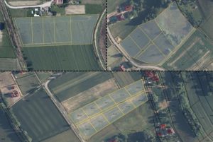 Fot. Materiał Prasowy