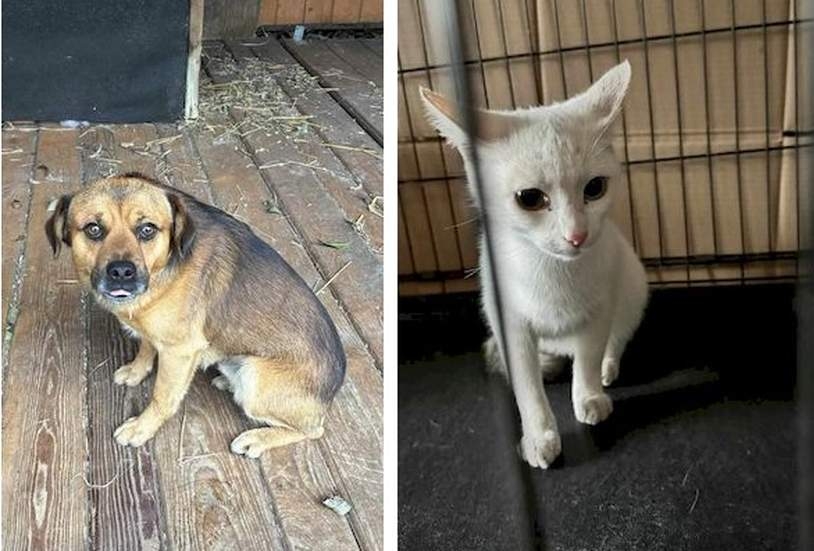 Fot. Facebook/ Wadowice tu wszystko się zaczęło