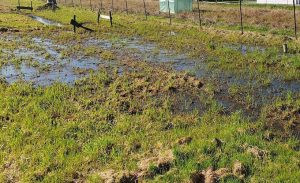 Fot. Facebook/ Mariusz Bryła