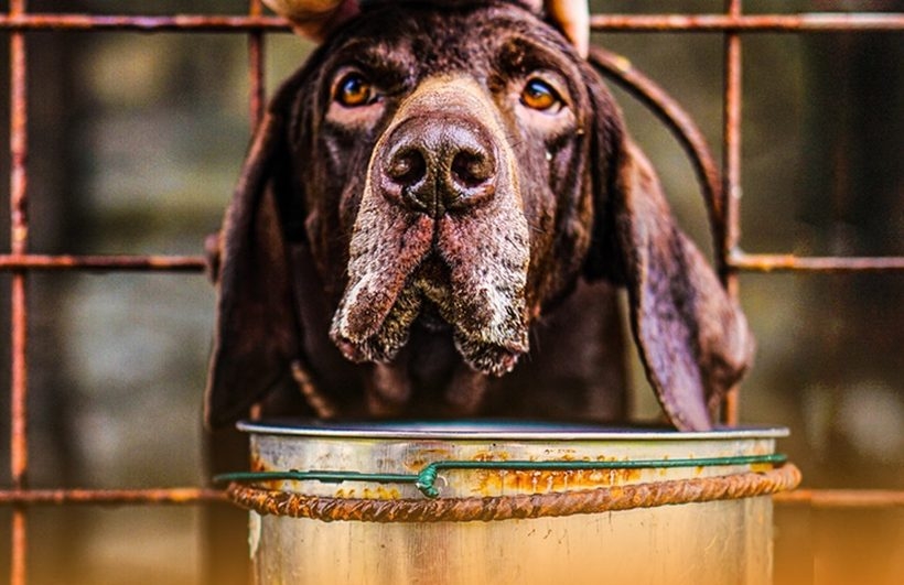 Fot. materiał organizatora zbiórki
