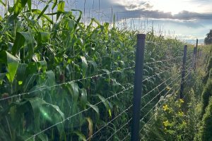 Fot. Materiał prasowy reklamodawcy