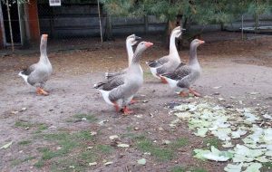 Fot. Materiał prasowy reklamodawcy