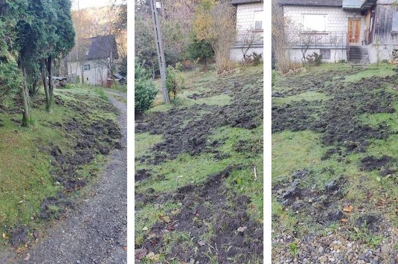 fot. nadesłane/ Karolina