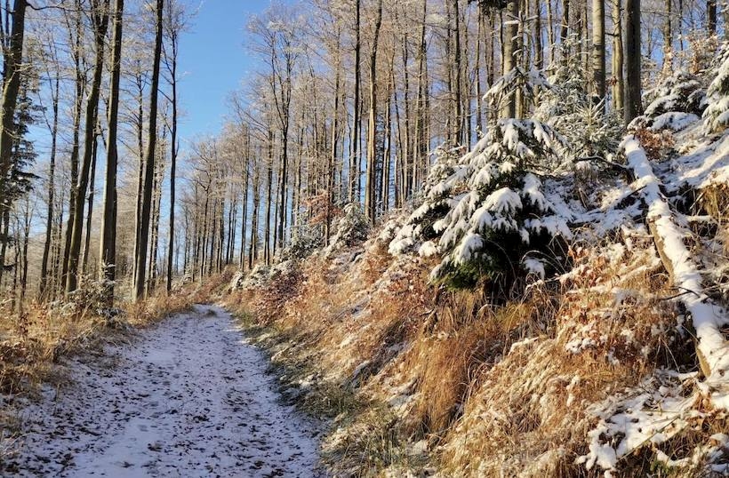 Fot. Facebook/ GOPR Beskidy