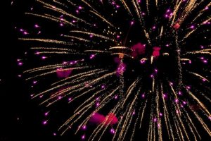 Fot. Materiał prasowy reklamodawcy/ Pexels