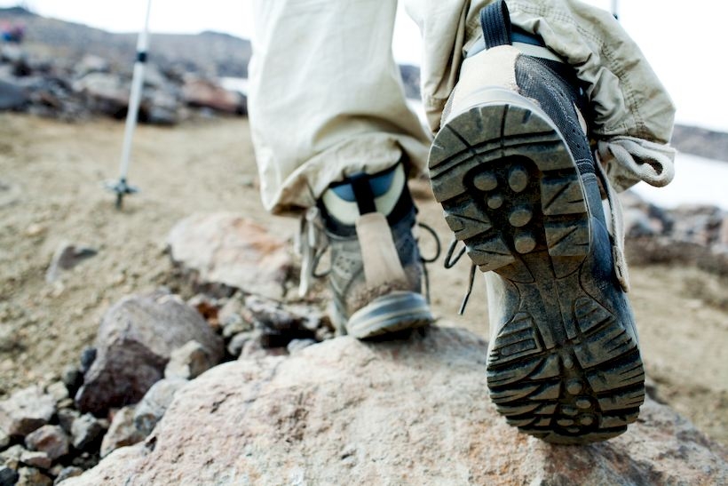 Fot. Materiał prasowy reklamodawcy