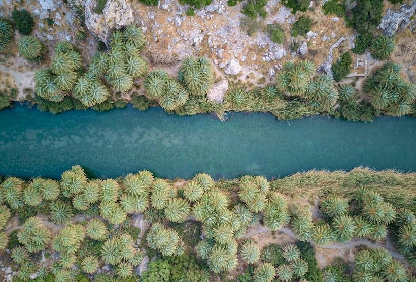 Fot. Materiał prasowy reklamodawcy