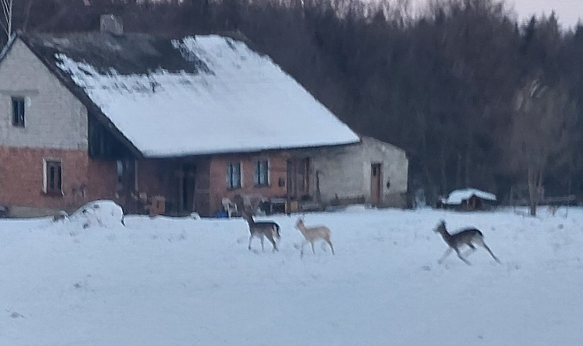 Źródło: Nowiny Andrychowskie