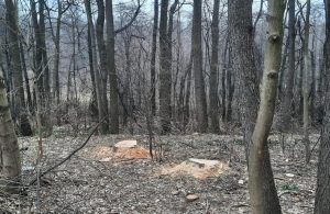 Fot. Nowiny Andrychowskie