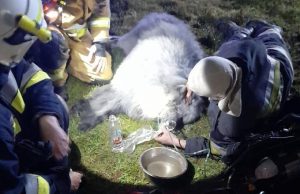 Fot. Facebook/ OSP Zagórnik