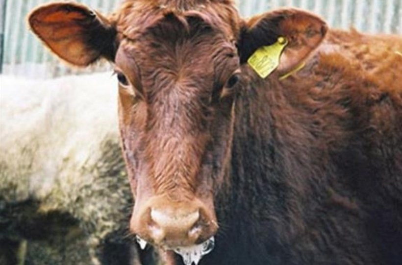 Fot. materiał prasowy wojewody małopolskiego